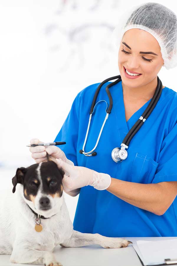 Contacto clínica veterinaria | Centre Veterinari La Vinyala